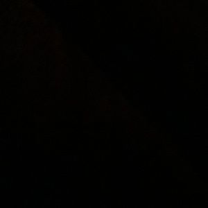 Meet your Posher, Tamara